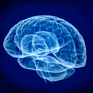 Master Practitioner em PNL Sistêmica